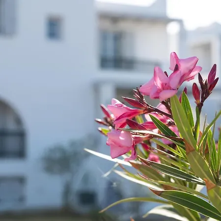 Hotel apartamentowy Sea Lilies